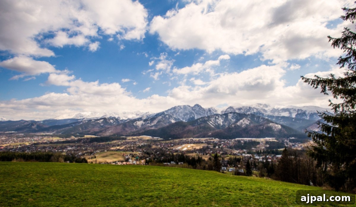 Zakopane Poland Mountain Resort 6 Lush green grassy field leading to a range of majestic mountains under a clear sky in Zakopane, Poland.