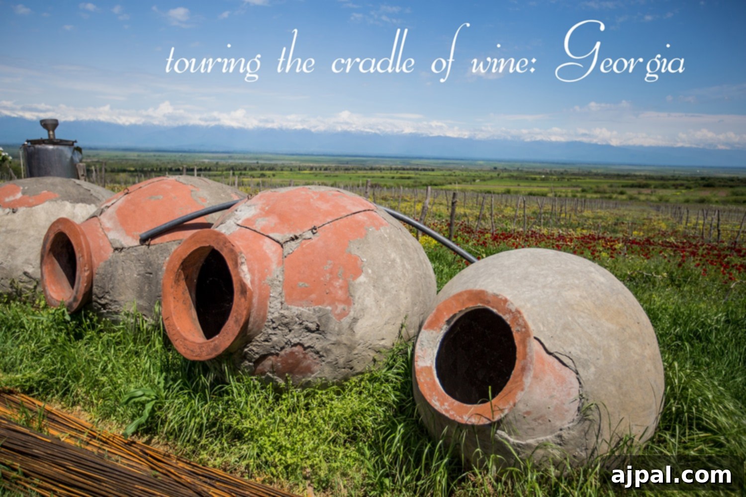 Ancient wine pots in a vineyard, symbolizing Georgia as the cradle of wine