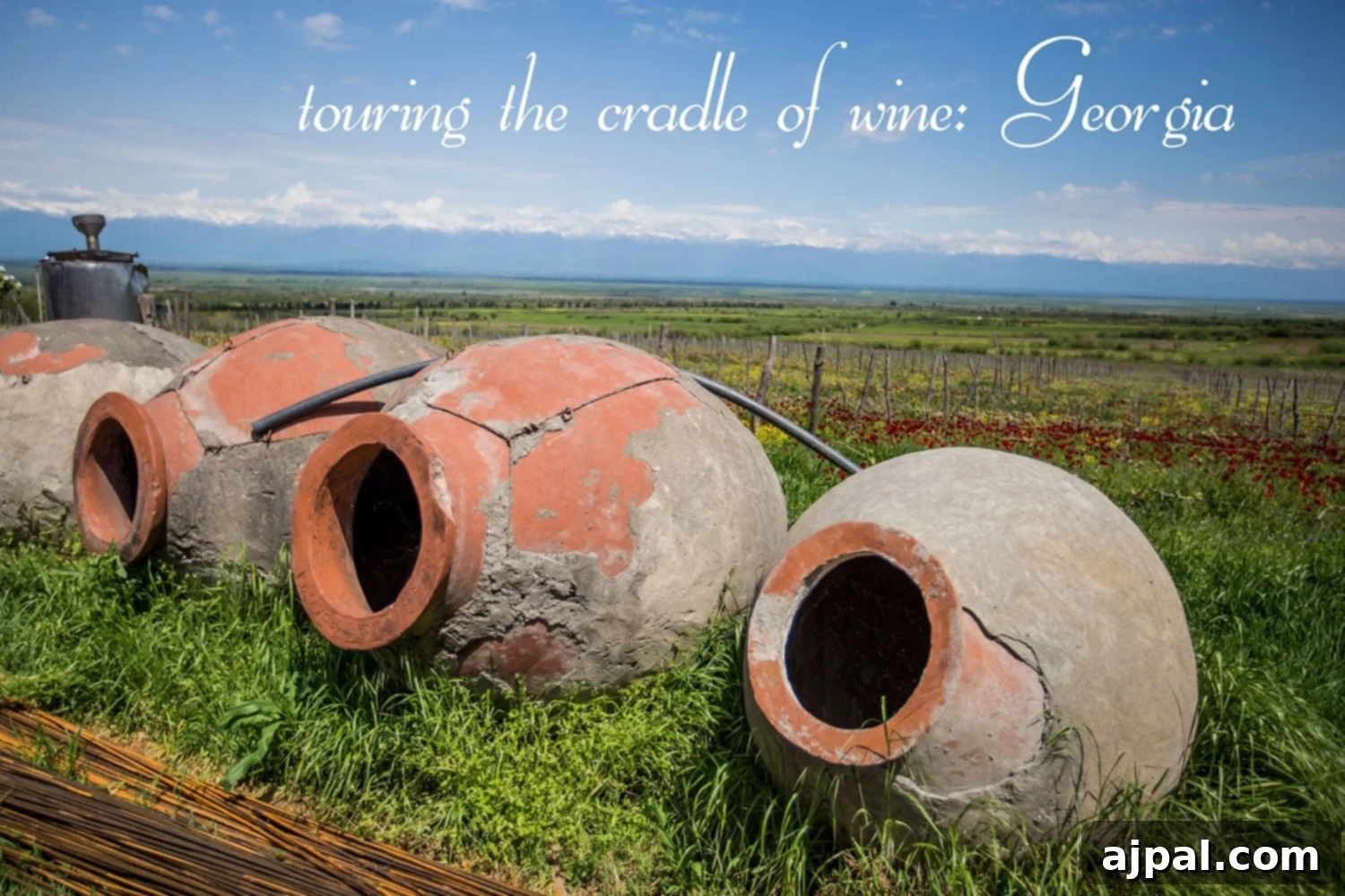 Georgian Supra: A Toast to Wine and Tradition 10 Large clay wine pots (Qvevri) sitting in the sun in front of a mountainous landscape, symbolizing Georgia's ancient winemaking traditions