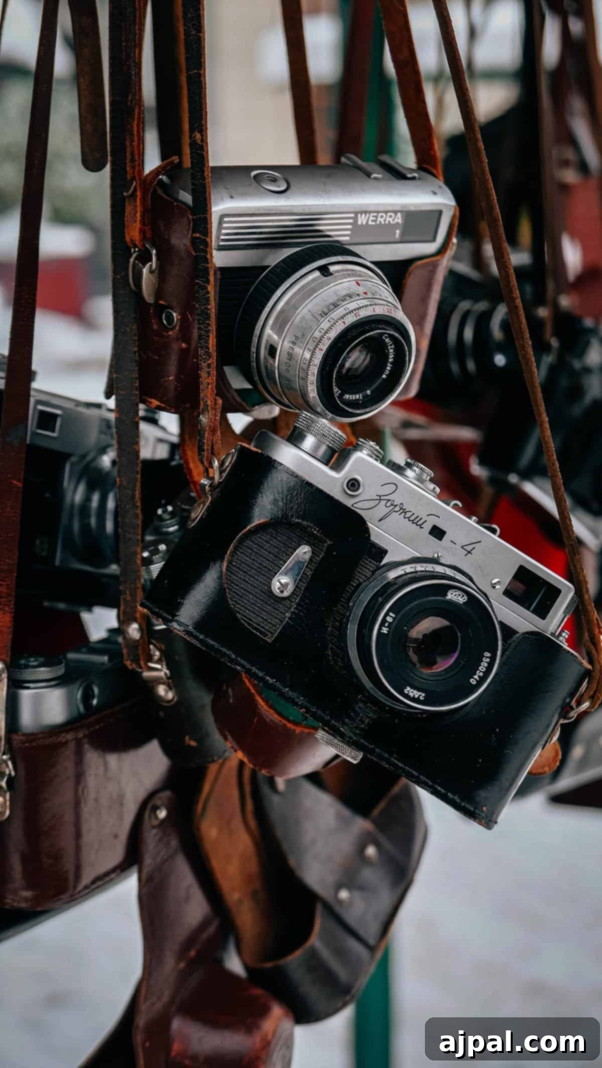 Krakow: Poland's Royal City 13 A display of vintage cameras with leather straps, capturing a retro vibe in Krakow.