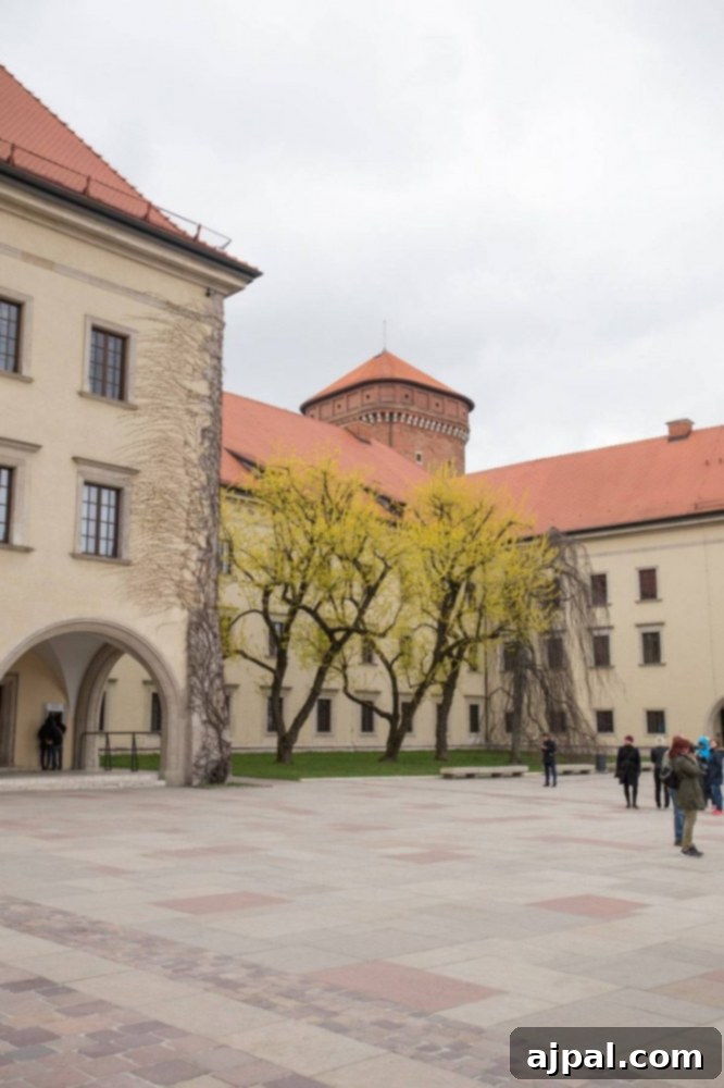 Krakow: Poland's Royal City 18 Visitors exploring the historic Wawel Castle in Krakow.