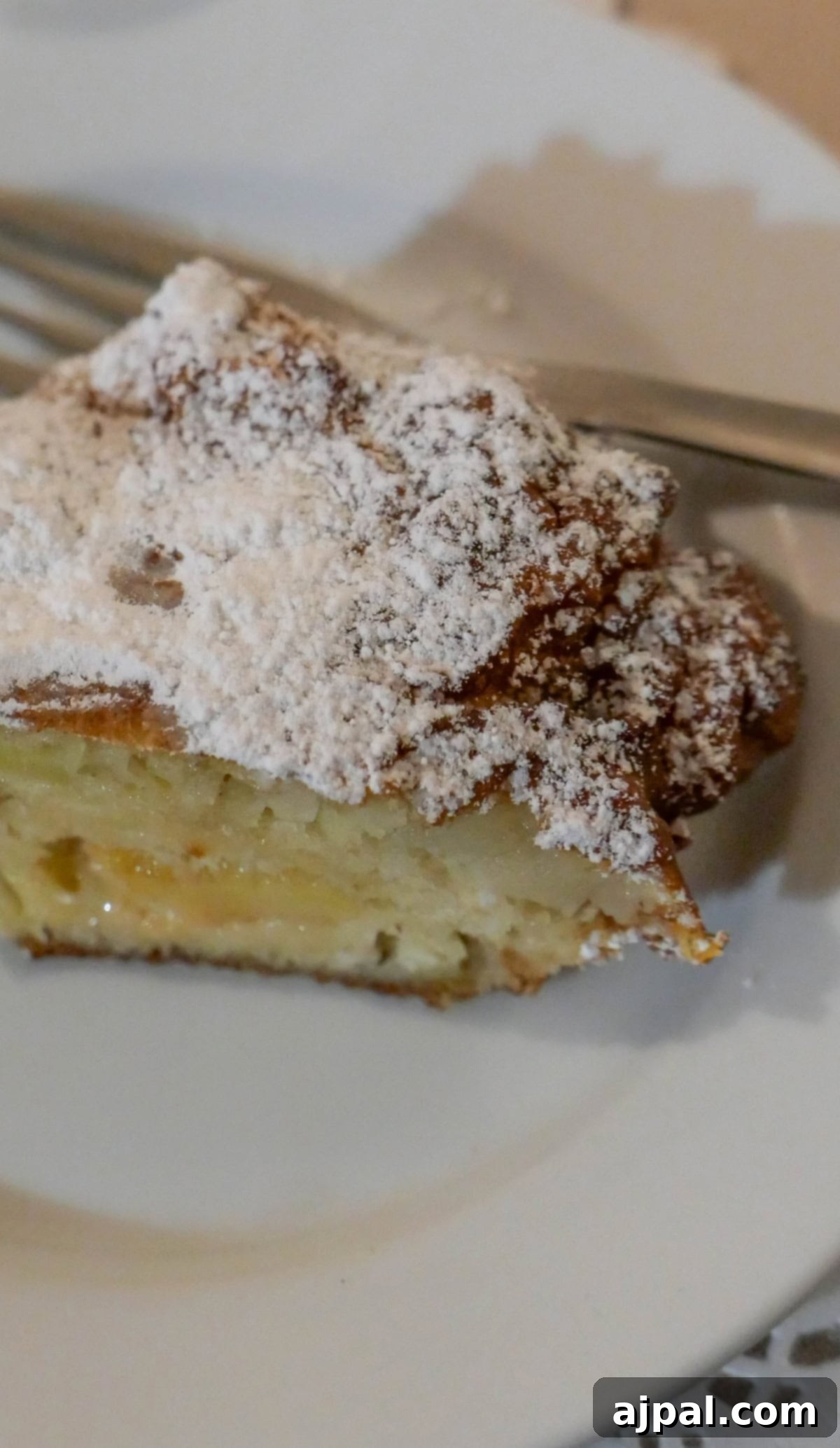 Krakow: Poland's Royal City 22 A piece of layered pastry, dusted with powdered sugar and presented on a white plate with a fork.