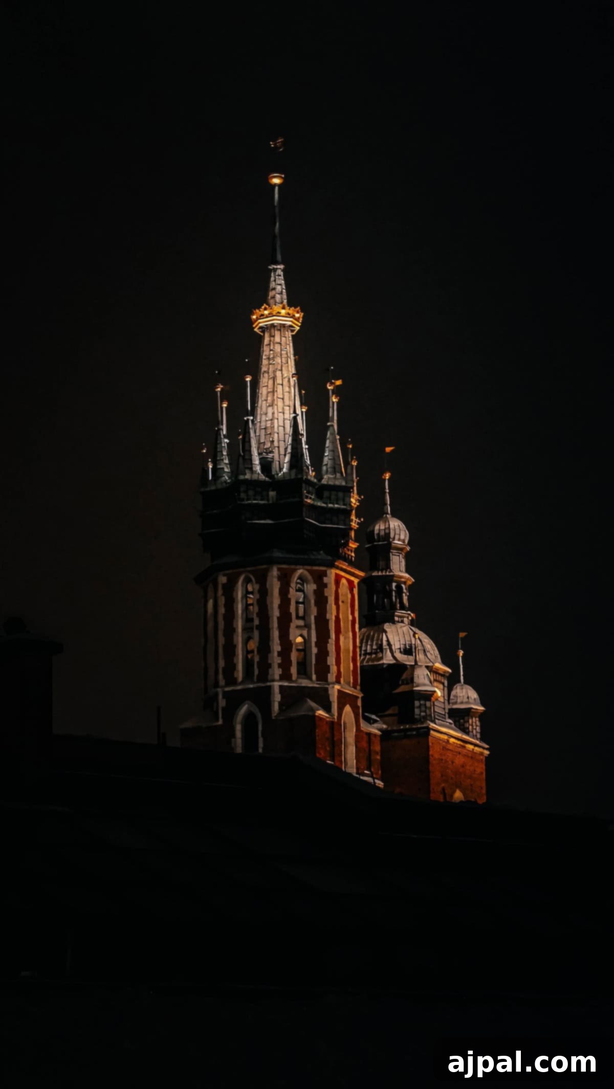 Krakow: Poland's Royal City 8 A majestic, illuminated church tower in Krakow with intricate spires against a night sky.