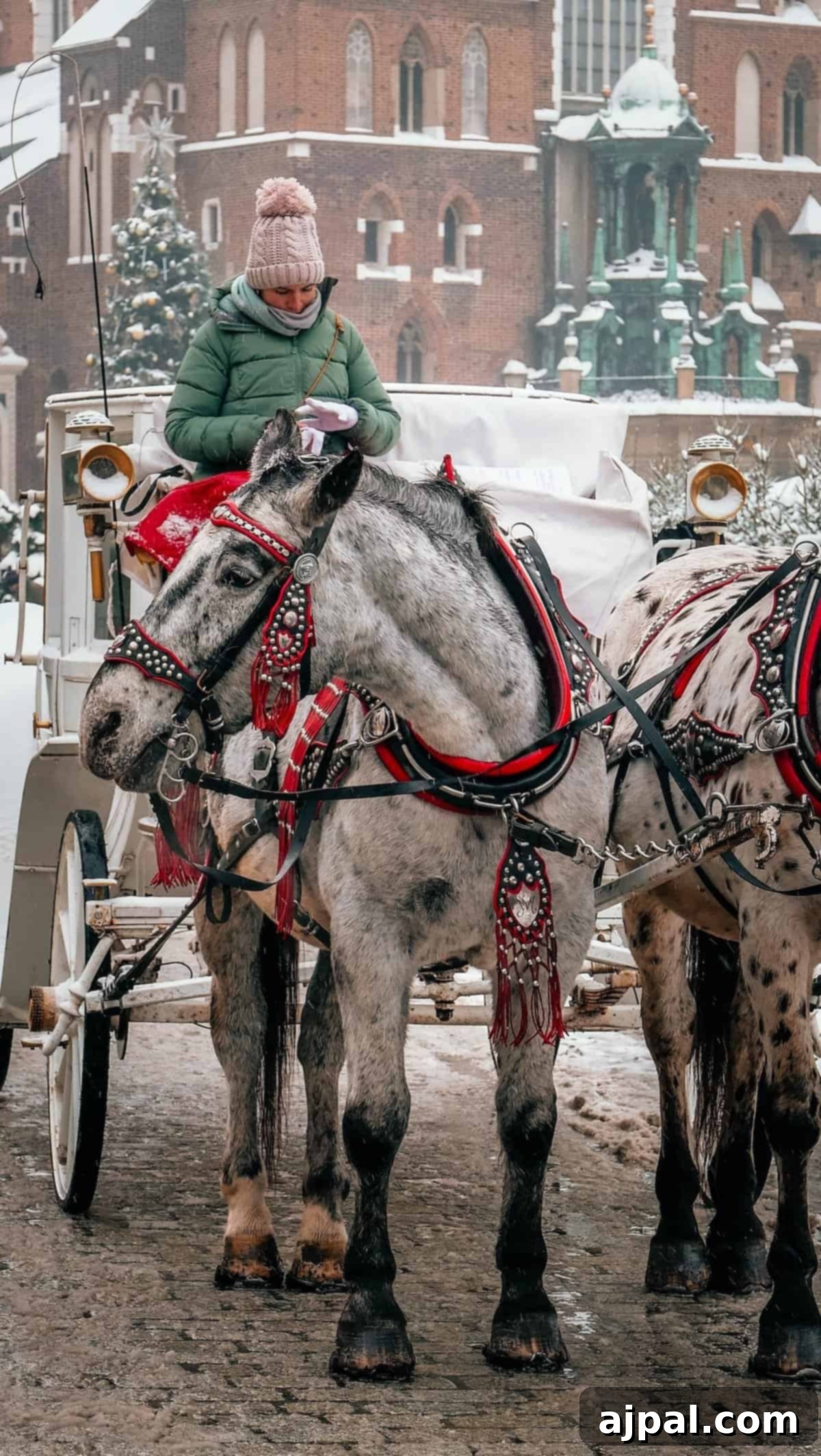 Krakow: Poland's Royal City 10 Two horses in ornate harnesses pulling a carriage on a snowy Krakow street.