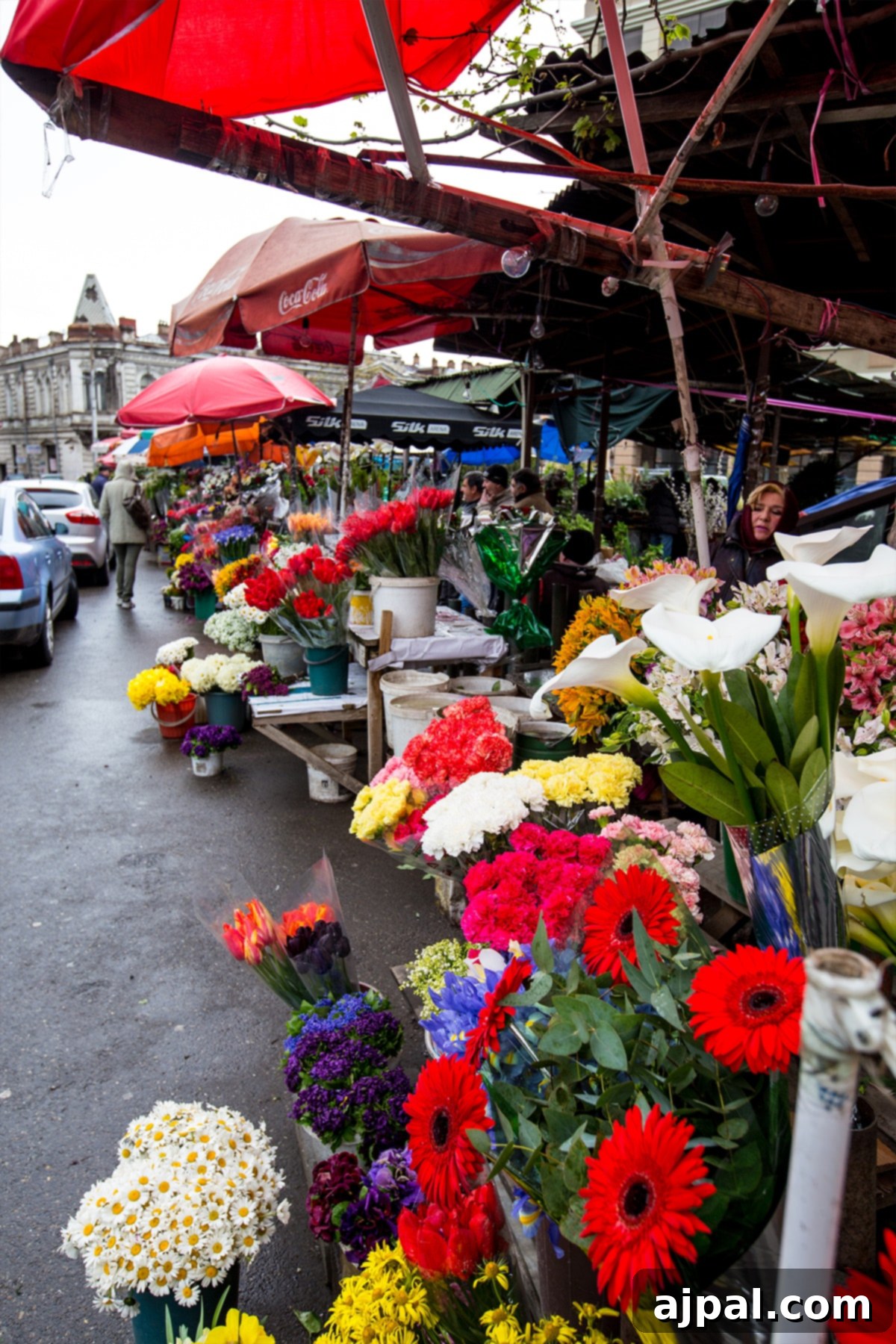Tbilisi Travel Guide 6 Vibrant flower vendors selling colorful blooms in a bustling Tbilisi market.