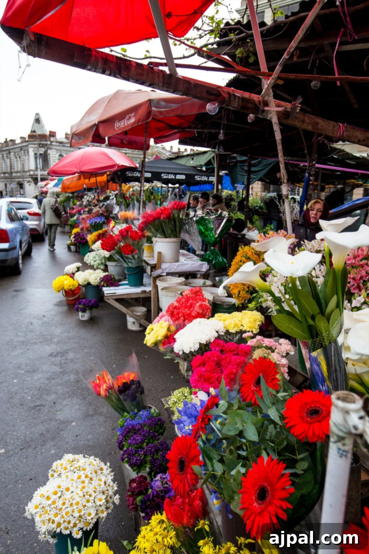 Vibrant flower vendors in a bustling Tbilisi market, showcasing a rich array of blooms and plants.