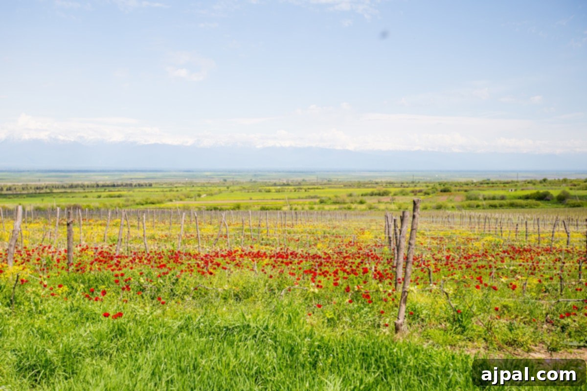 Vibrant vineyard in Georgia's Kakheti Region, blooming with flowers