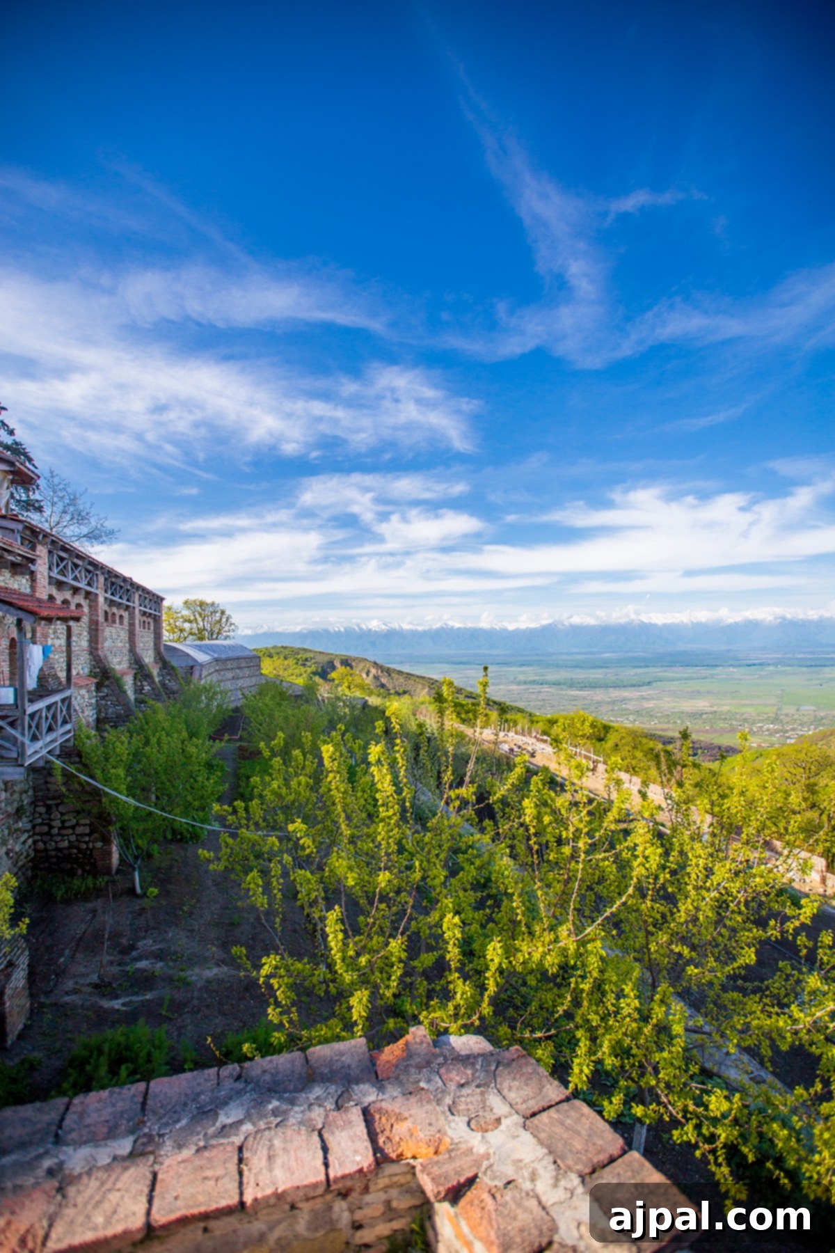 Panoramic view from Saint Nino's Bodbe Monastery overlooking Sighnaghi and the Alazani Valley