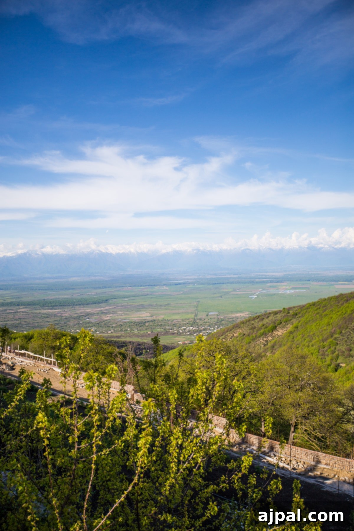 Lush gardens and vineyards surrounding Bodbe Monastery, Georgia