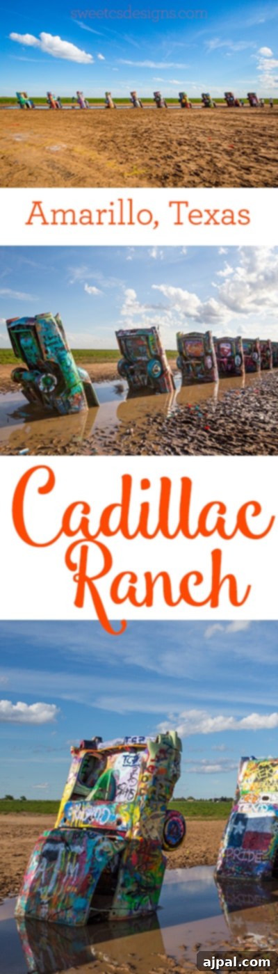 Iconic Cadillac Ranch A Texas Landmark 5 Promotional image for Cadillac Ranch, emphasizing its quirky road trip appeal.