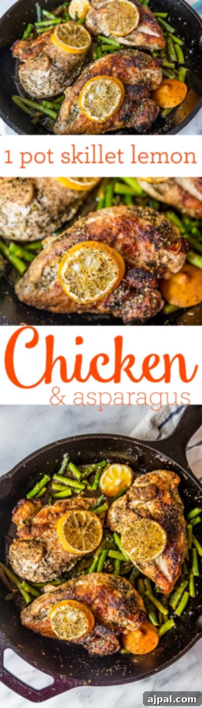 A rustic cast iron skillet showcasing a perfectly cooked one-pot lemon chicken and asparagus meal, ready to be enjoyed.