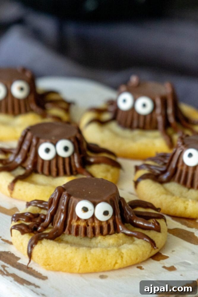 Spooktacular Halloween Treats You Need to Try 8 A group of spider-decorated cookies perfect for Halloween.