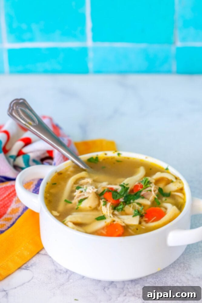 picture of chicken noodle soup in a white bowl