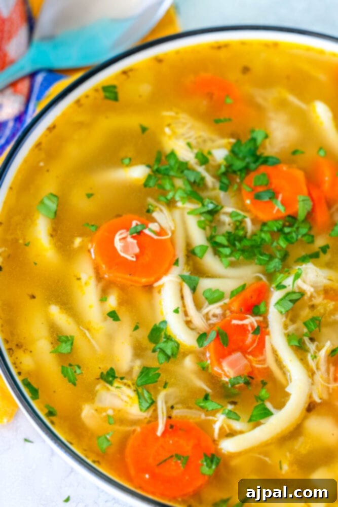 picture of chicken noodle soup in a white bowl