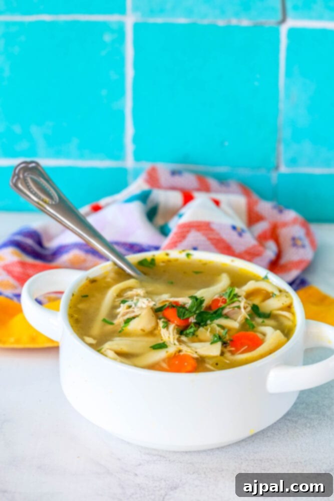 picture of chicken noodle soup in a white bowl