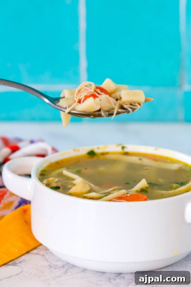 picture of chicken noodle soup in a white bowl