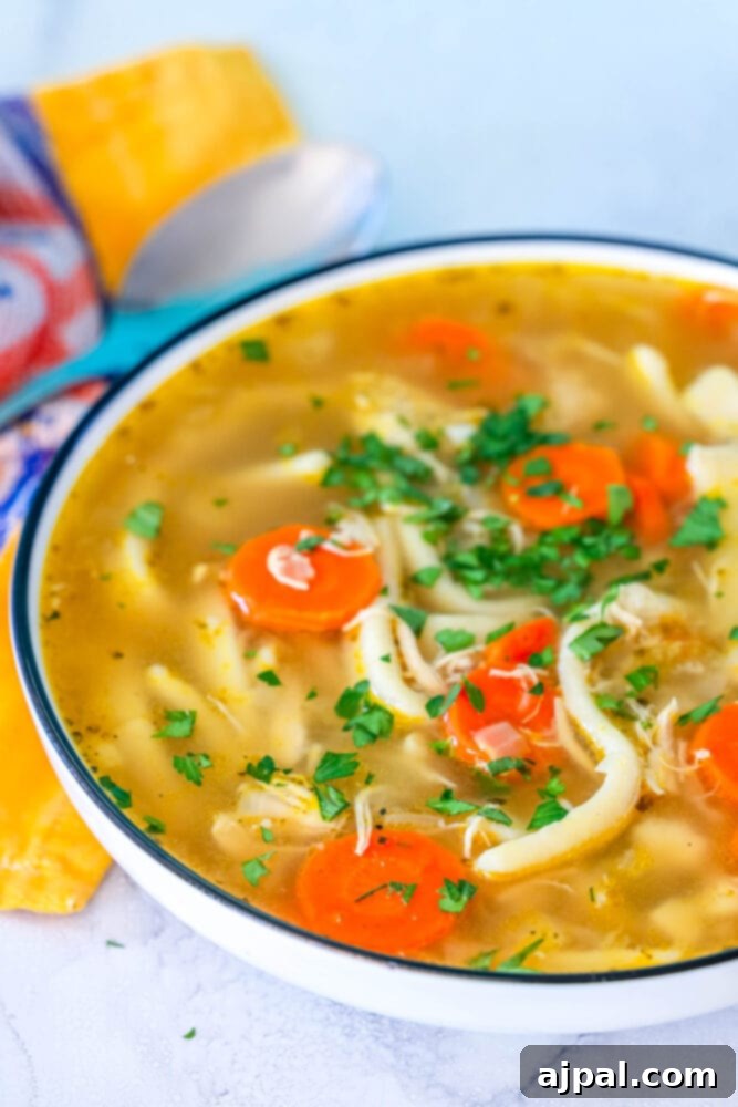 picture of chicken noodle soup in a white bowl
