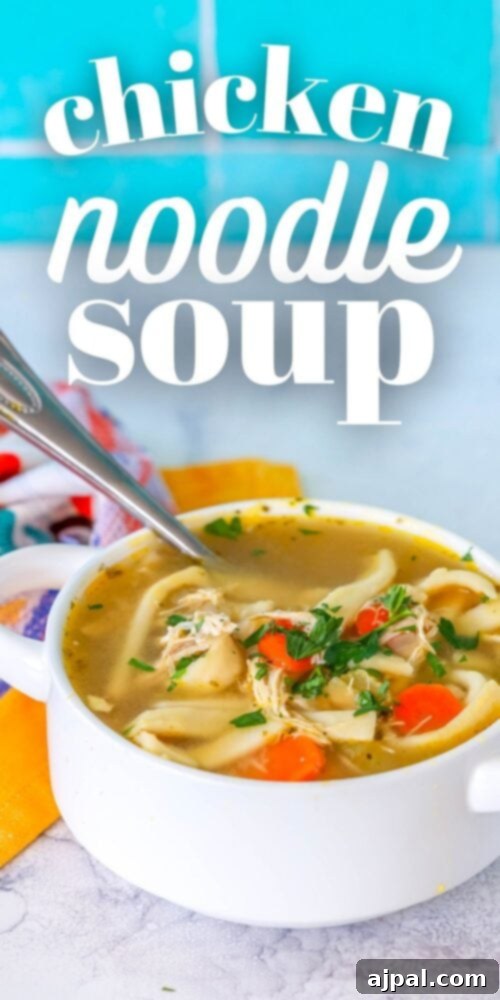 picture of chicken noodle soup in a white bowl