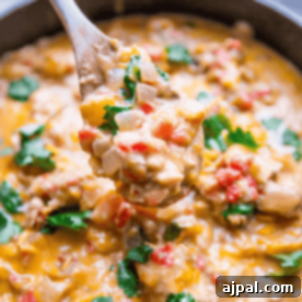 Close-up of a spoonful of creamy vegetable stew with diced tomatoes, onions, cilantro, and a rich, saucy base in a pot—a perfect companion to the delightful One Pot Cheesy Chicken and Green Chile Skillet.