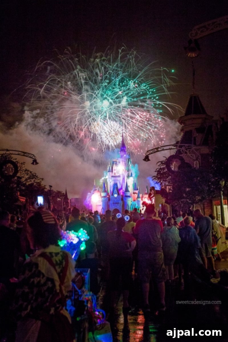 Disney World Fireworks at Christmas!