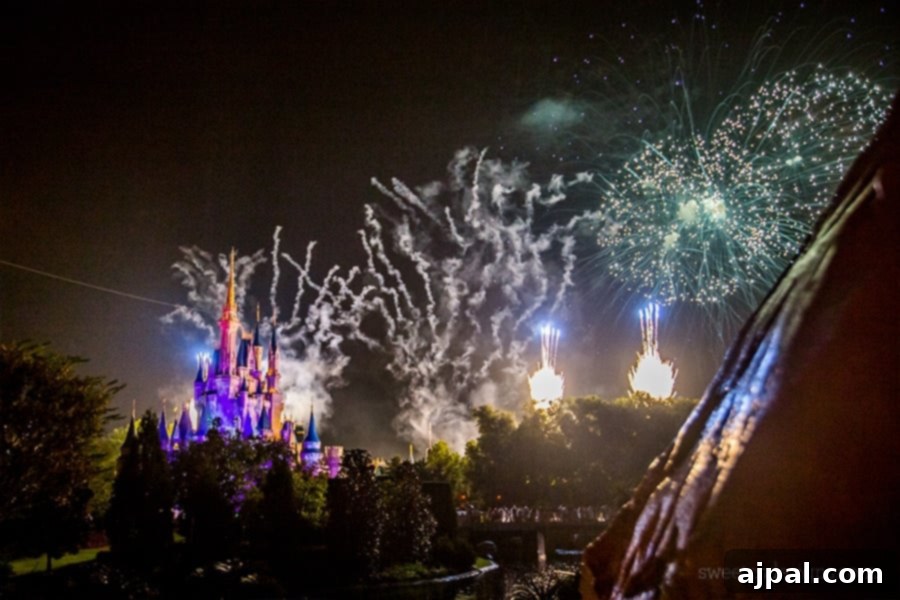 Disney World Christmas Fireworks show