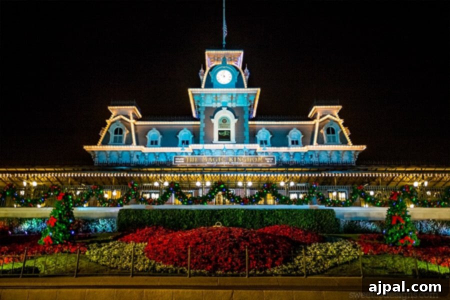 I love Disney World at Christmas! So beautiful