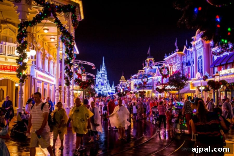 I love Disney World At Christmas!