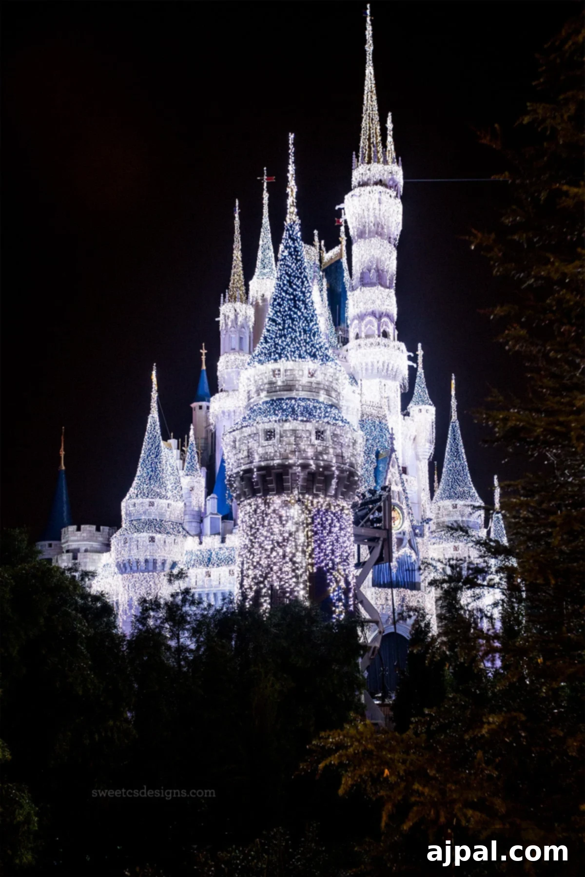 Disney World at Christmas- so pretty at night!