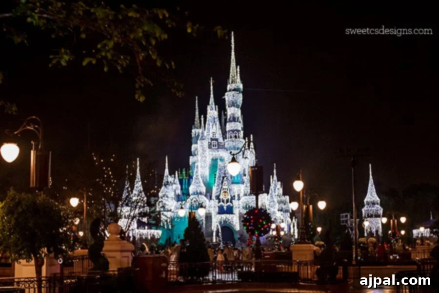 Disney World Castle at Christmas- I love how it looks frozen!
