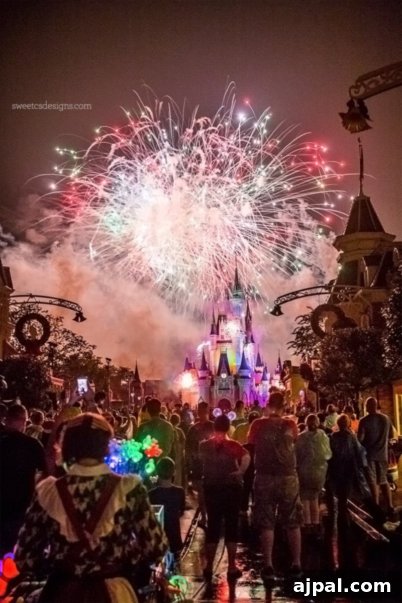 Disney World Mickey Christmas Party Fireworks Show