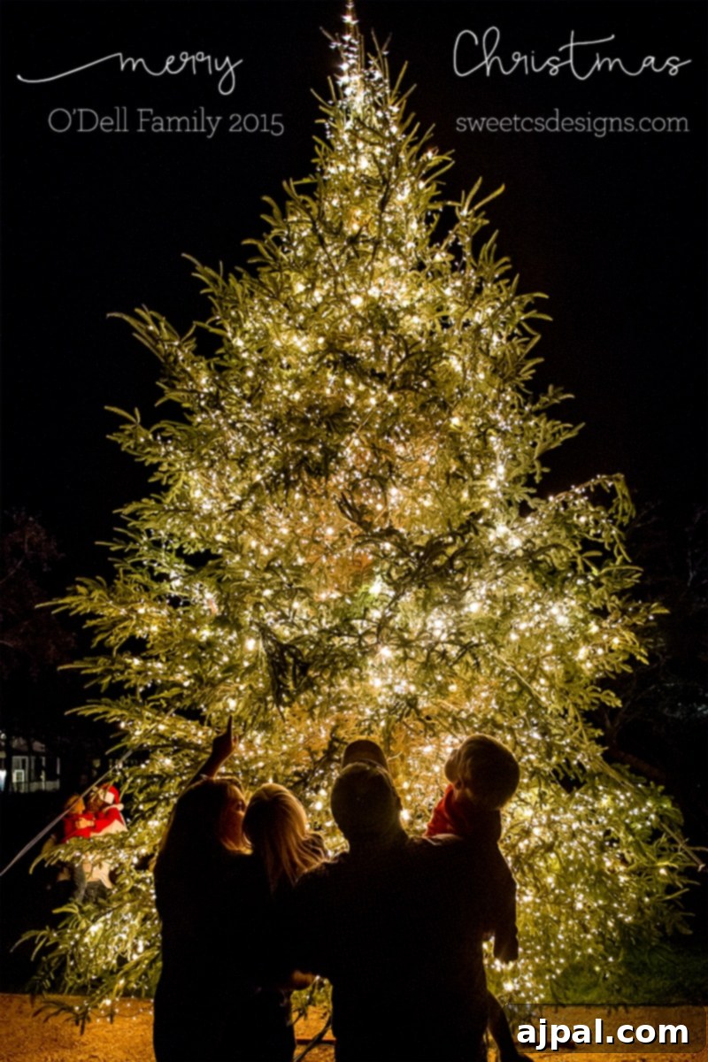 Yuletide in Paradise Seaside Florida 15 A heartwarming family photo idea featuring a festive Merry Christmas ball, encapsulating the spirit of Seaside Florida at Christmas.