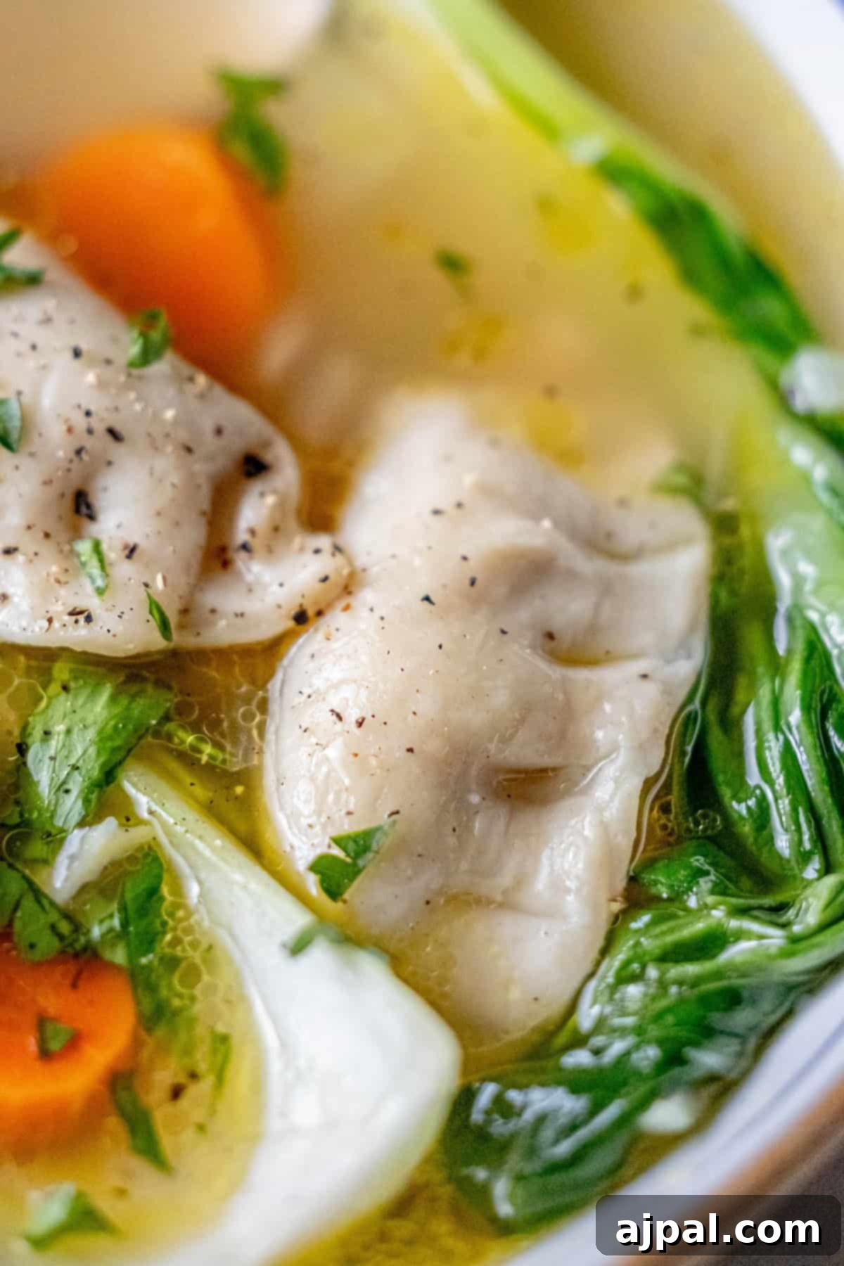 Easy 15-Minute One-Pot Potsticker Soup 2 A close-up of a bowl highlights this 15-minute potsticker soup, featuring two dumplings, bok choy, carrot slices, and herbs in a clear broth.