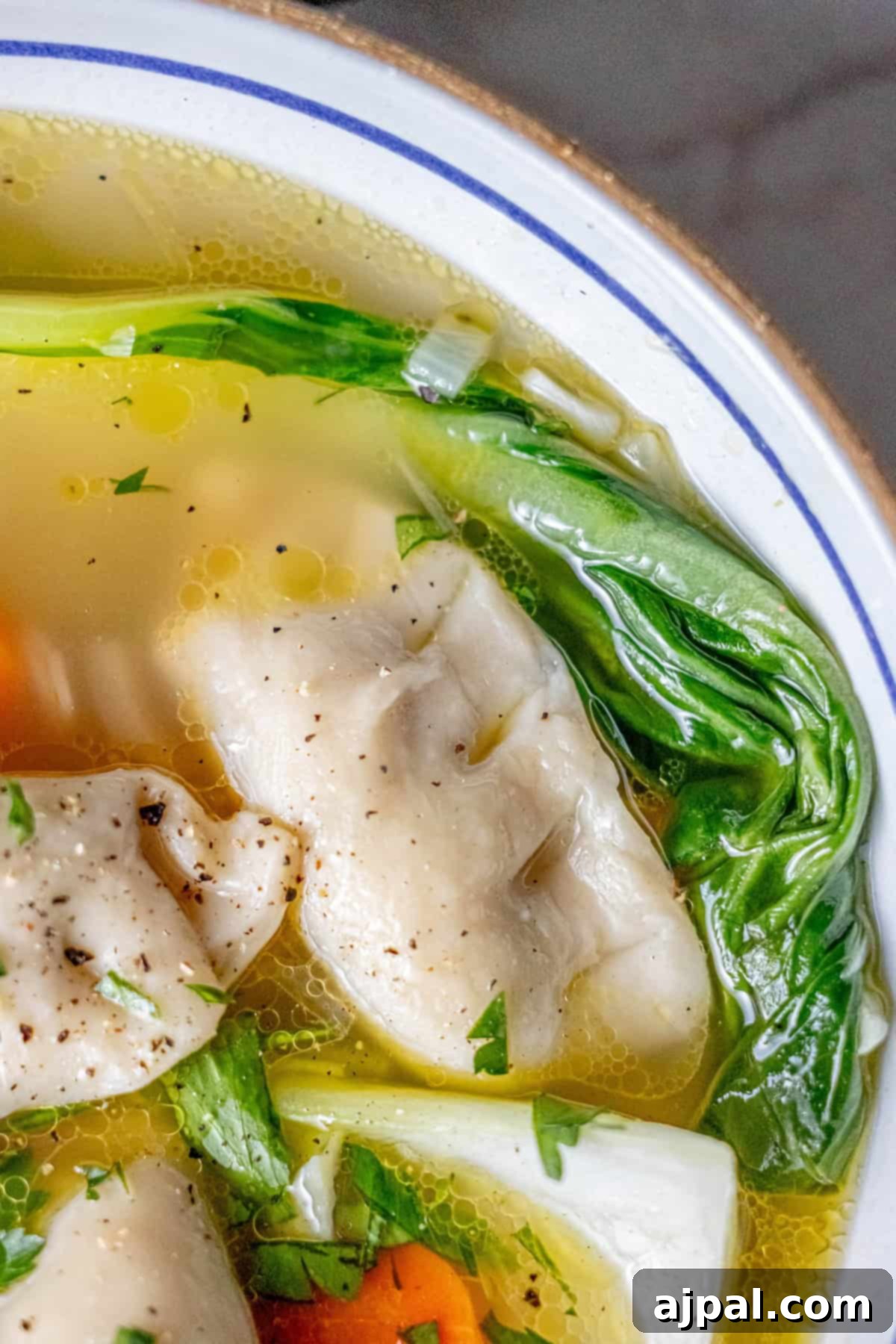 Easy 15-Minute One-Pot Potsticker Soup 3 Close-up of a quick 15-minute potsticker soup featuring dumplings, carrots, bok choy, and herbs in a clear broth served in a white bowl with a blue rim.