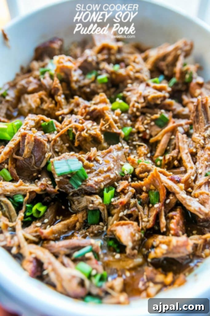 My favorite pulled pork recipe ever - this honey soy pulled pork is SO good!