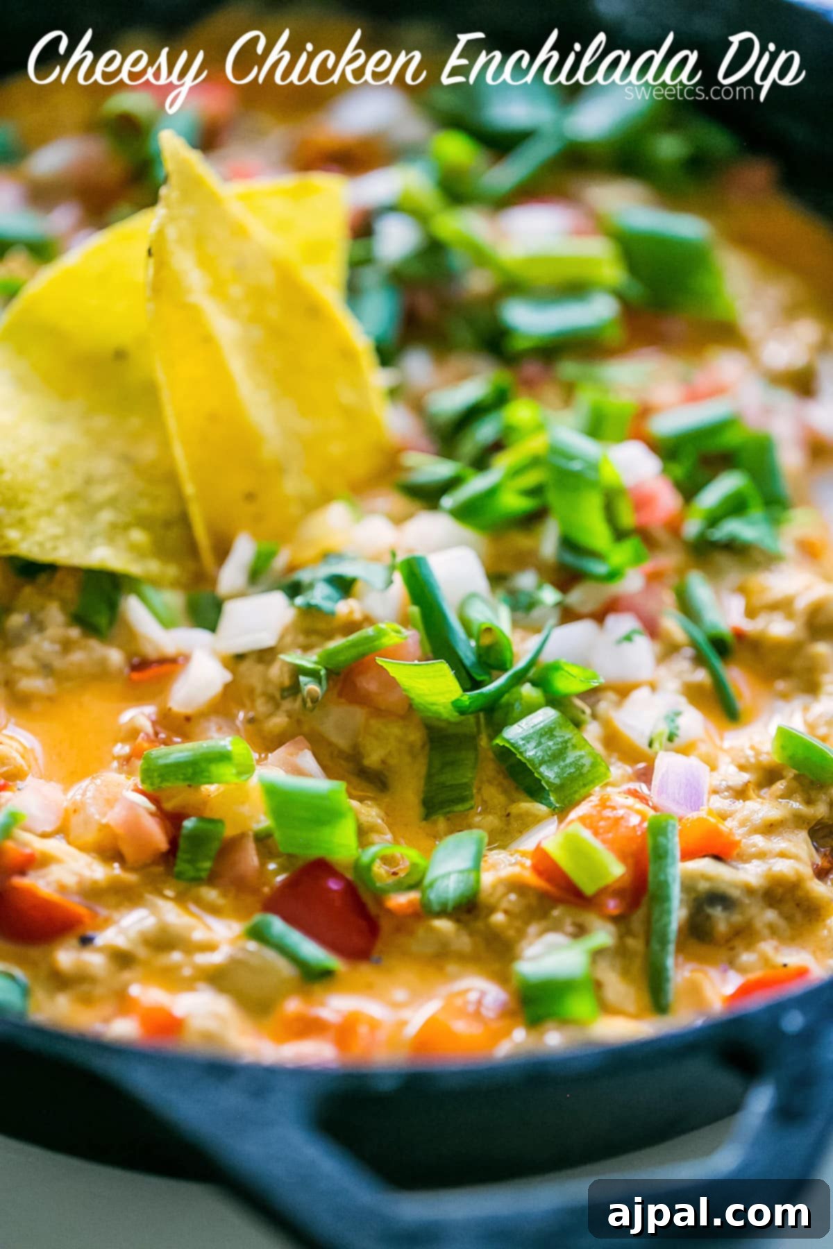 A tortilla chip generously scooping into a vibrant cheesy chicken enchilada dip, adorned with fresh green onions, diced tomatoes, and red onions.