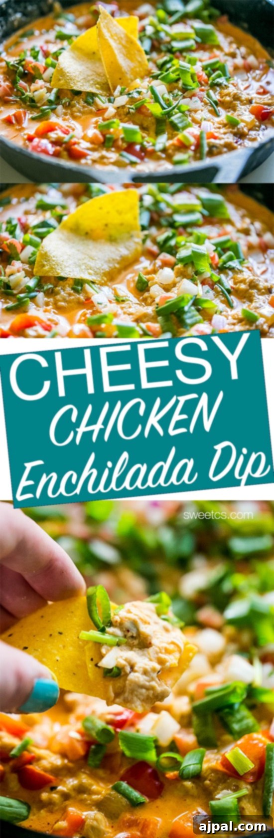 A close-up of cheesy chicken enchilada dip with a chip, showcasing its rich texture and topping.