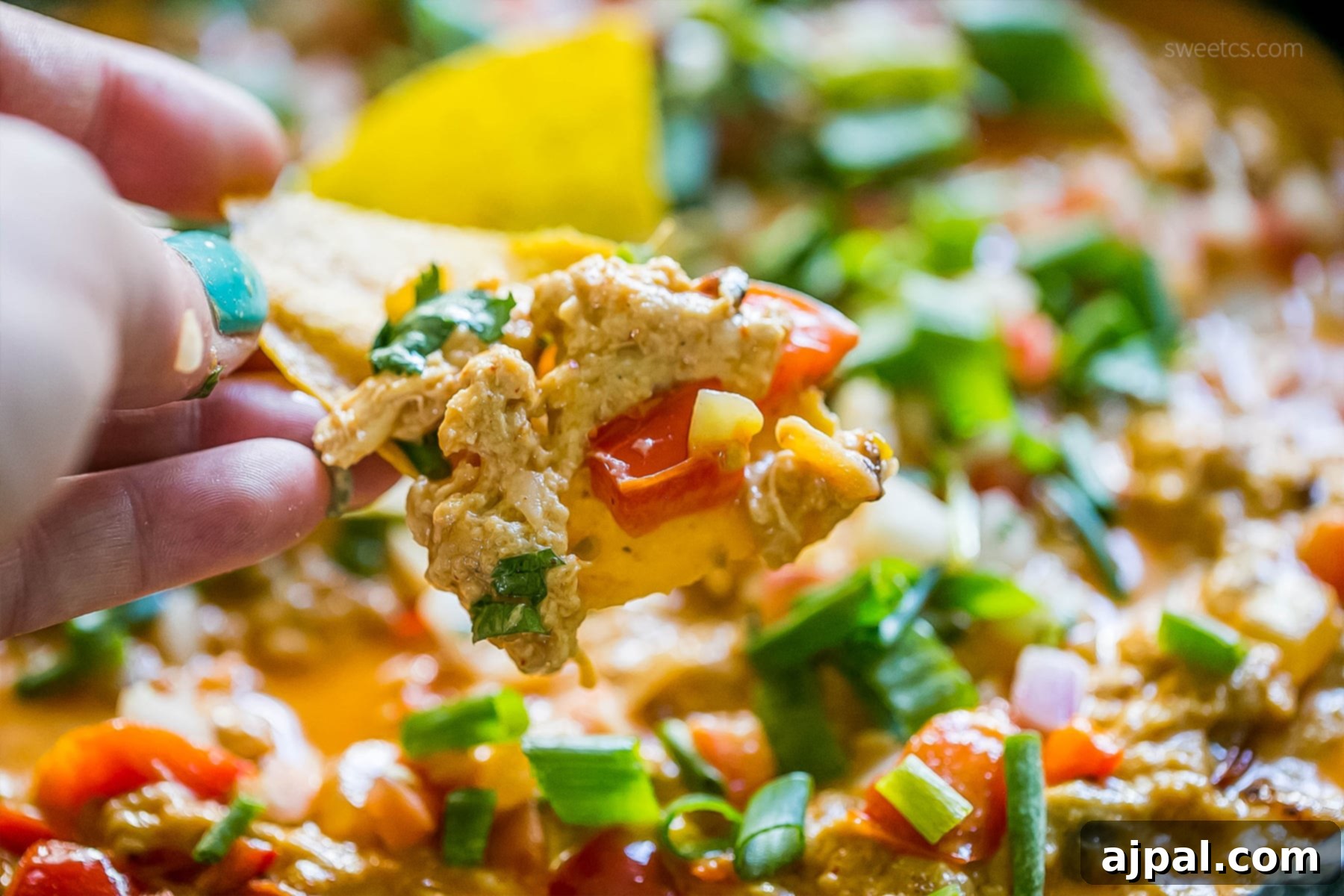 A hand dipping a crispy tortilla chip into a creamy, cheesy chicken enchilada dip, showing off its rich texture and colorful toppings.