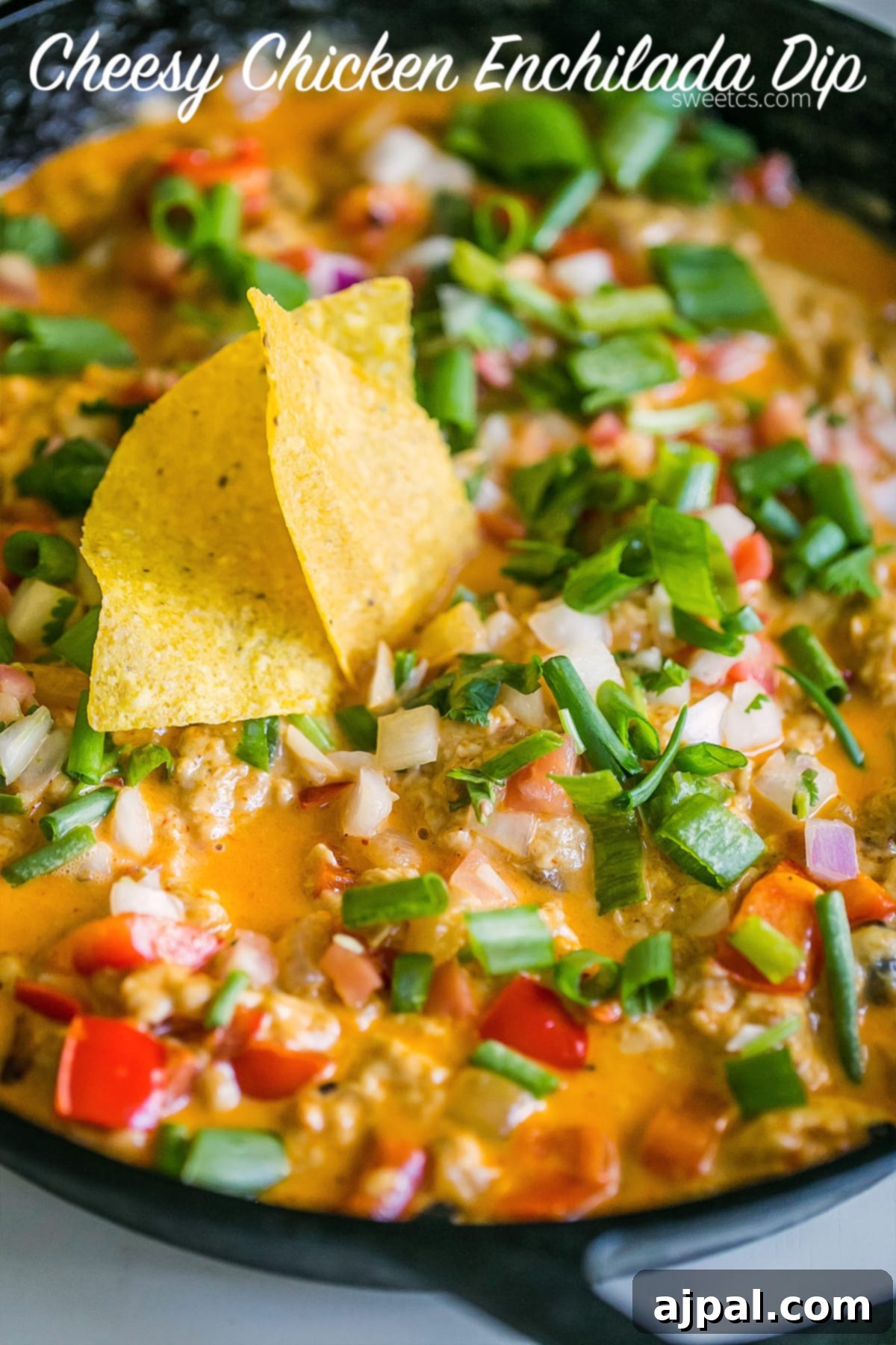 A vibrant, cheesy chicken enchilada dip cooked and served in a skillet, topped with fresh garnishes, ready to be enjoyed.