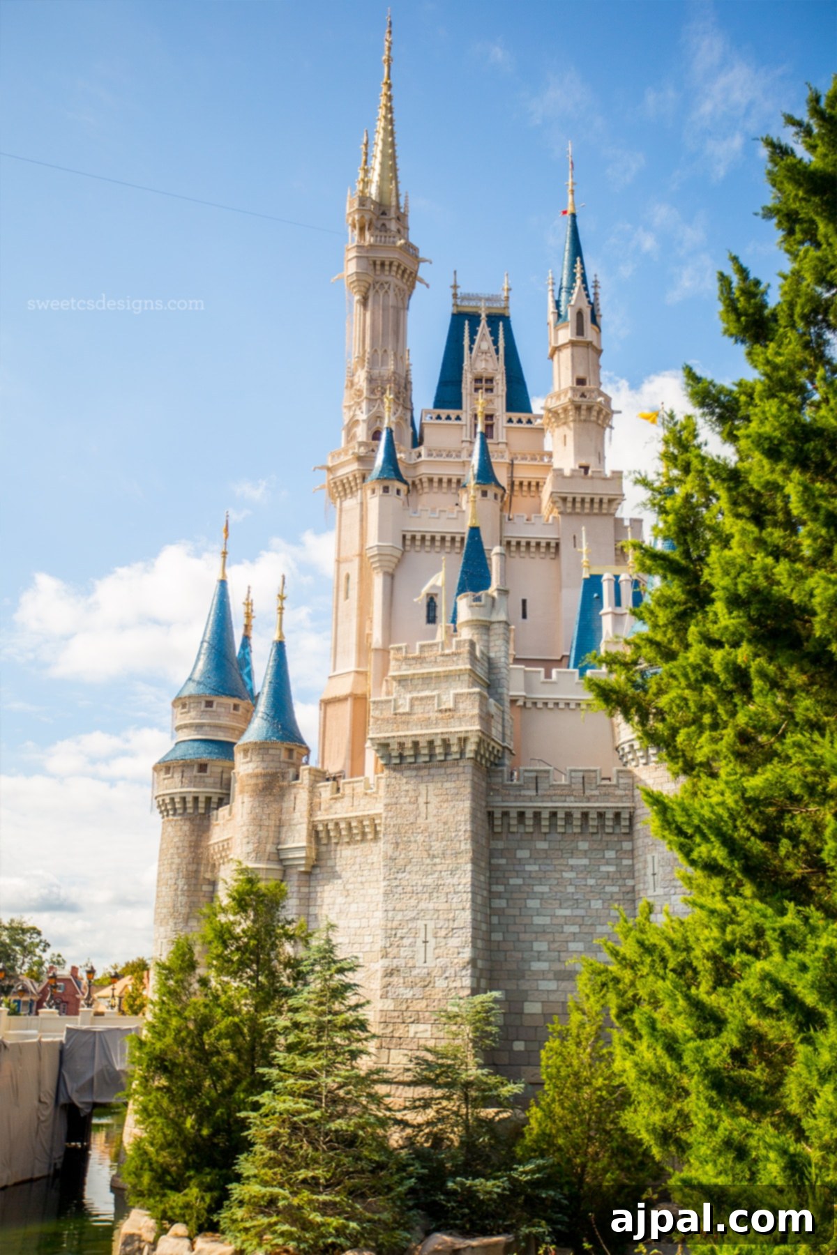 Disney world - I love the castle!