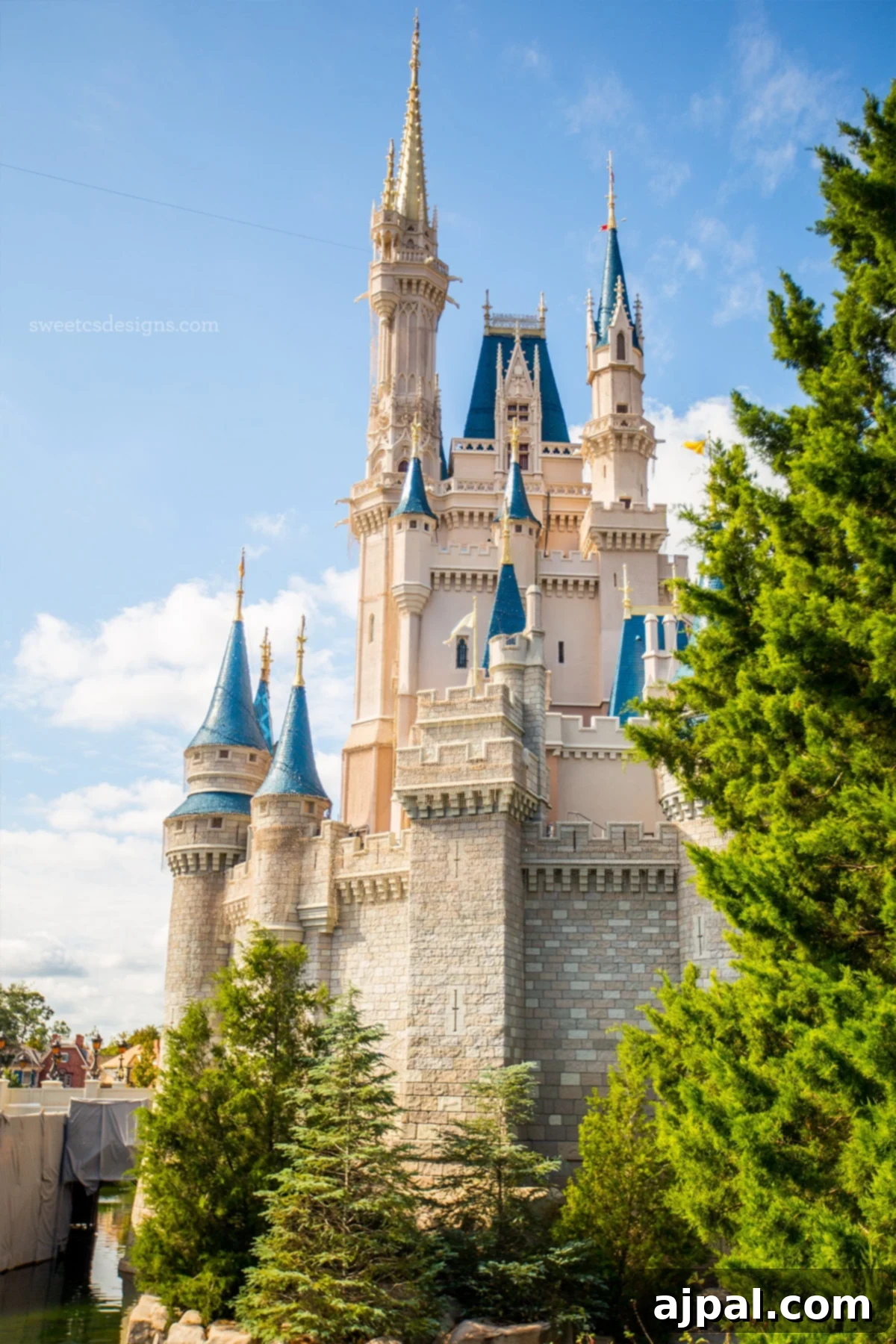 Find Your Perfect Travel Rewards Credit Card 4 Cinderella's Castle, Disney World