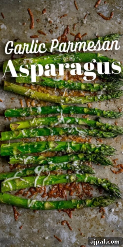 Roasted asparagus with parmesan cheese on a baking sheet, ready to serve.