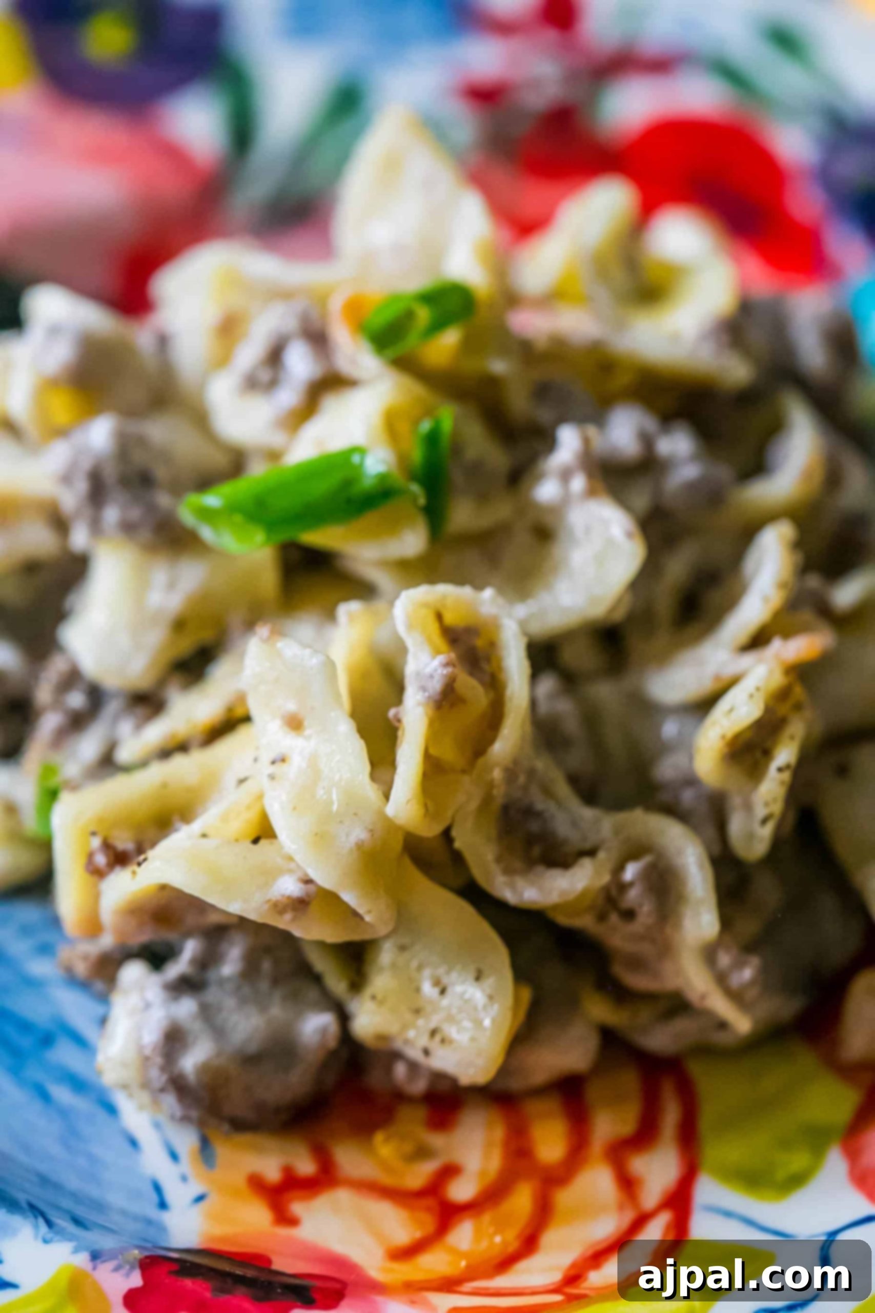 egg noodles with creamy sauce. ground beef, and green onions