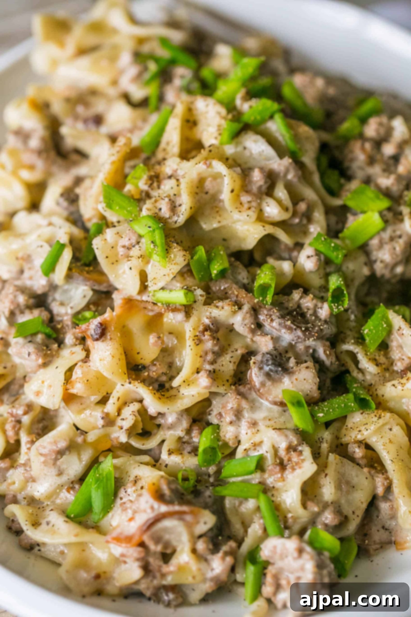 egg noodles with creamy sauce. ground beef, and green onions