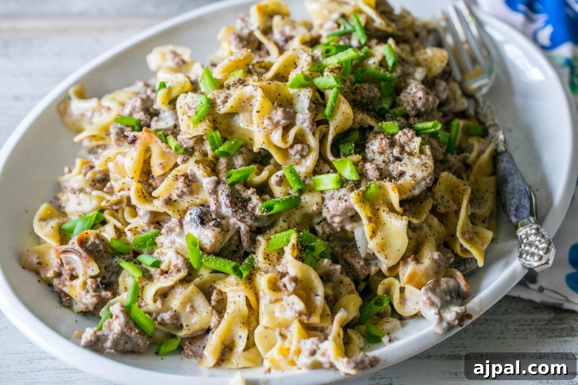 egg noodles with creamy sauce. ground beef, and green onions