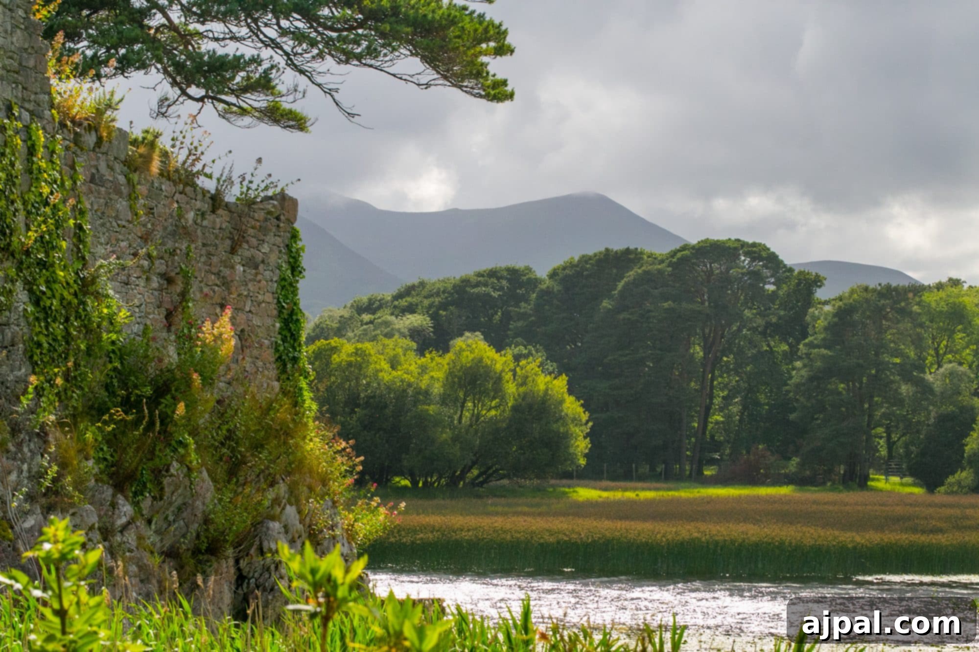 Killarney Emerald Gem of Ireland 14 Killarney, Ireland river landscape