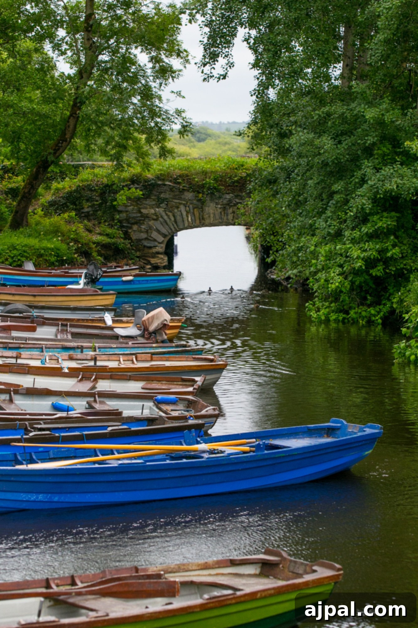 Killarney National Park 2 Boats by bridge, Killarney National Park Ireland