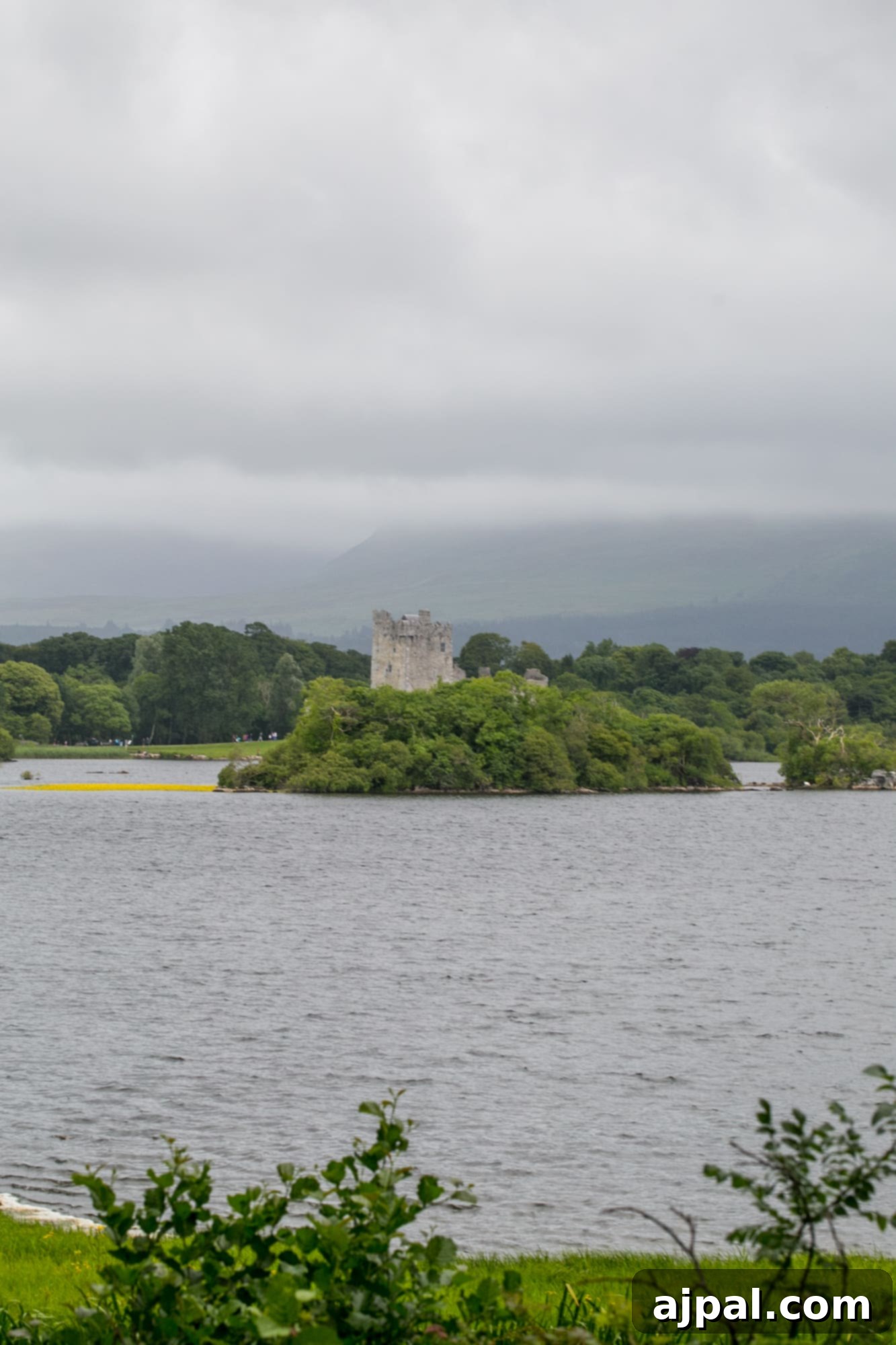Killarney National Park 11 Ross Castle, Killarney National Park