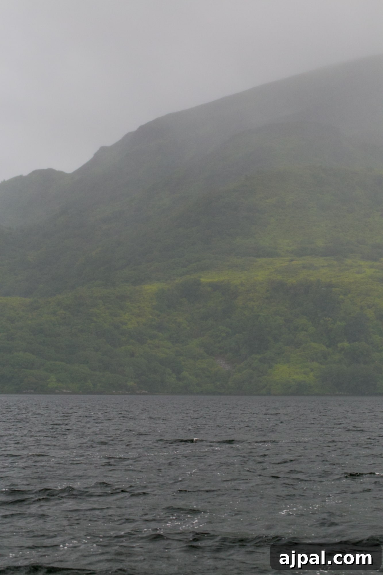 Killarney National Park 15 Loch Lein boat tour, Killarney