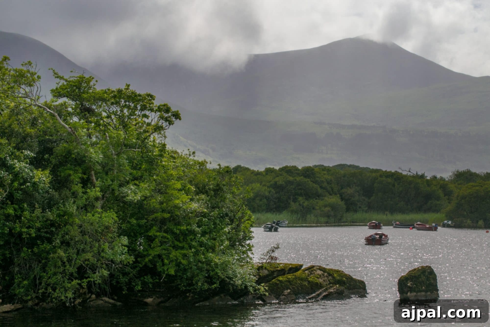 Killarney National Park 17 IMG_0545