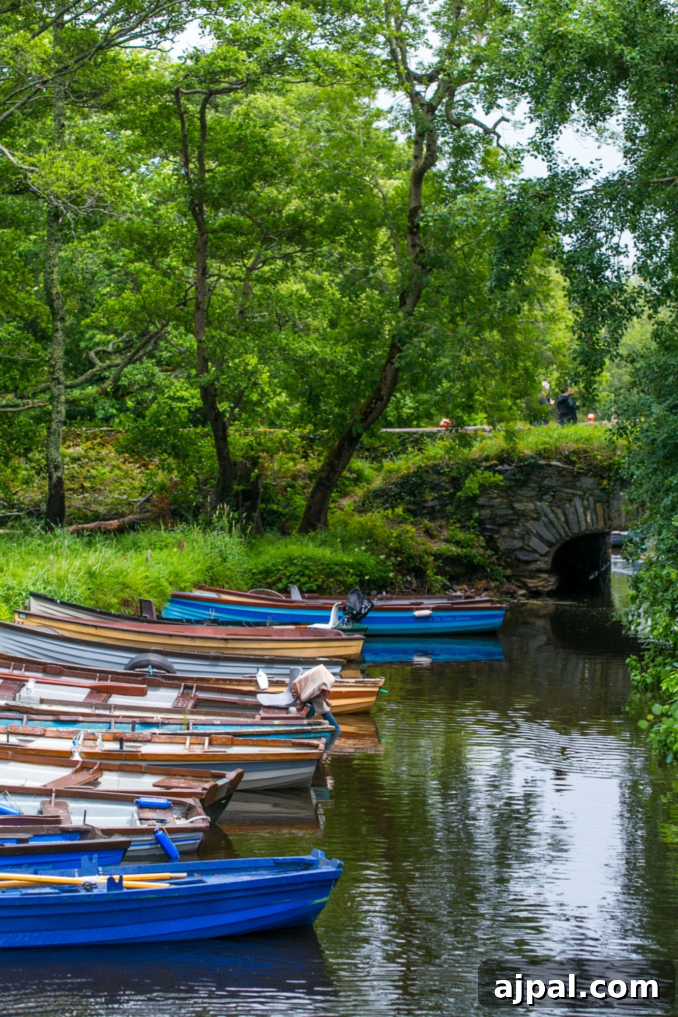 Killarney National Park 3 Killarney National Park, Ireland